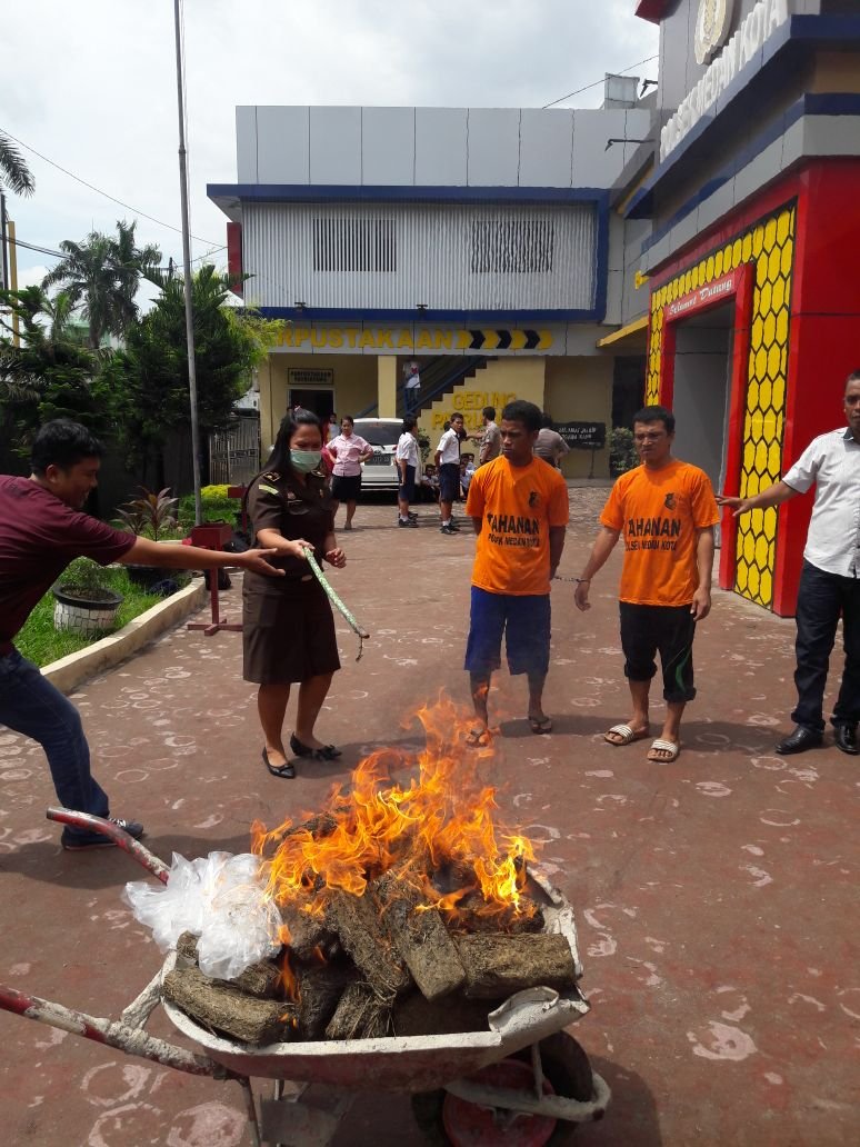 Polsek Medan Kota Musnahkan 73,5 Kg Ganja