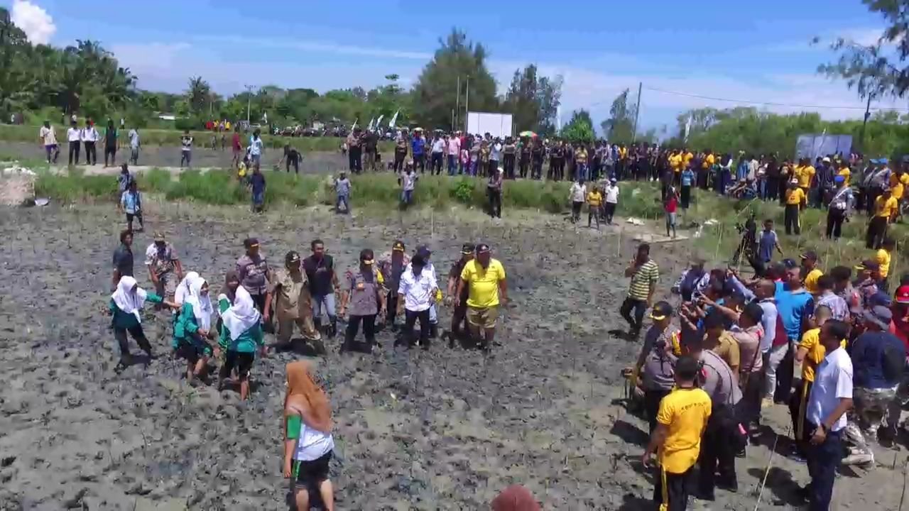 Tanam 280 Ribu Batang Mangrove, Kapolda Pecahkan Rekor Dunia