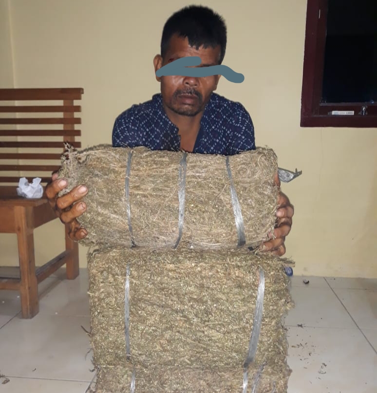 Dua Tersangka Penjual Dan Pengedar Ganja Gol