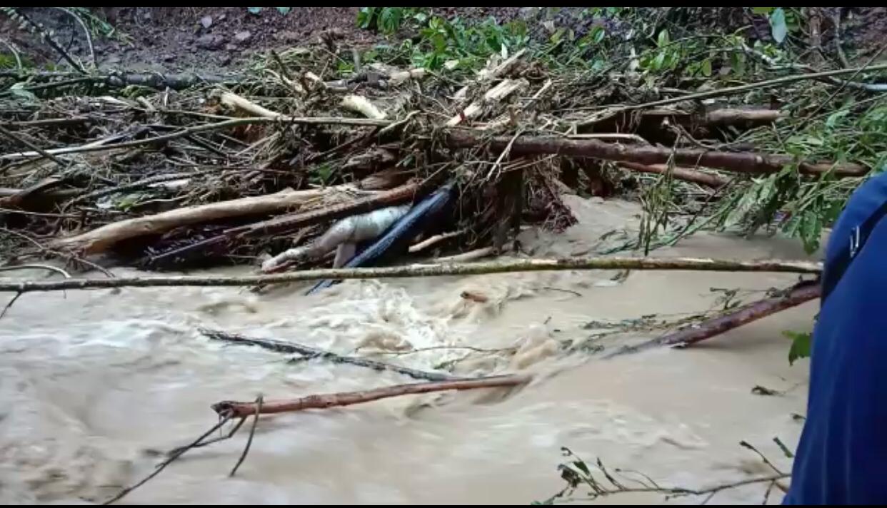 Korban Longsor Ditemukan di Tumpukan Kayu