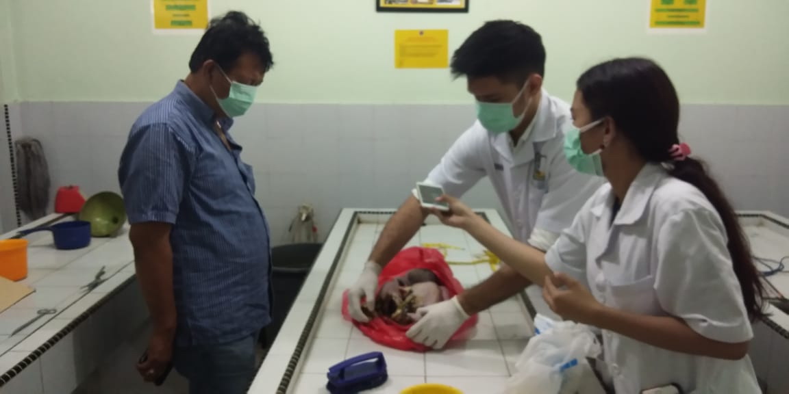 Mayat Bayi Perempuan Berbungkusan Plastik Ditemukan Warga Dalam Pos Jaga Malam