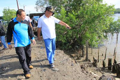 Wakil Wali Kota Ikut Tanam 3000 Batang Mangrove