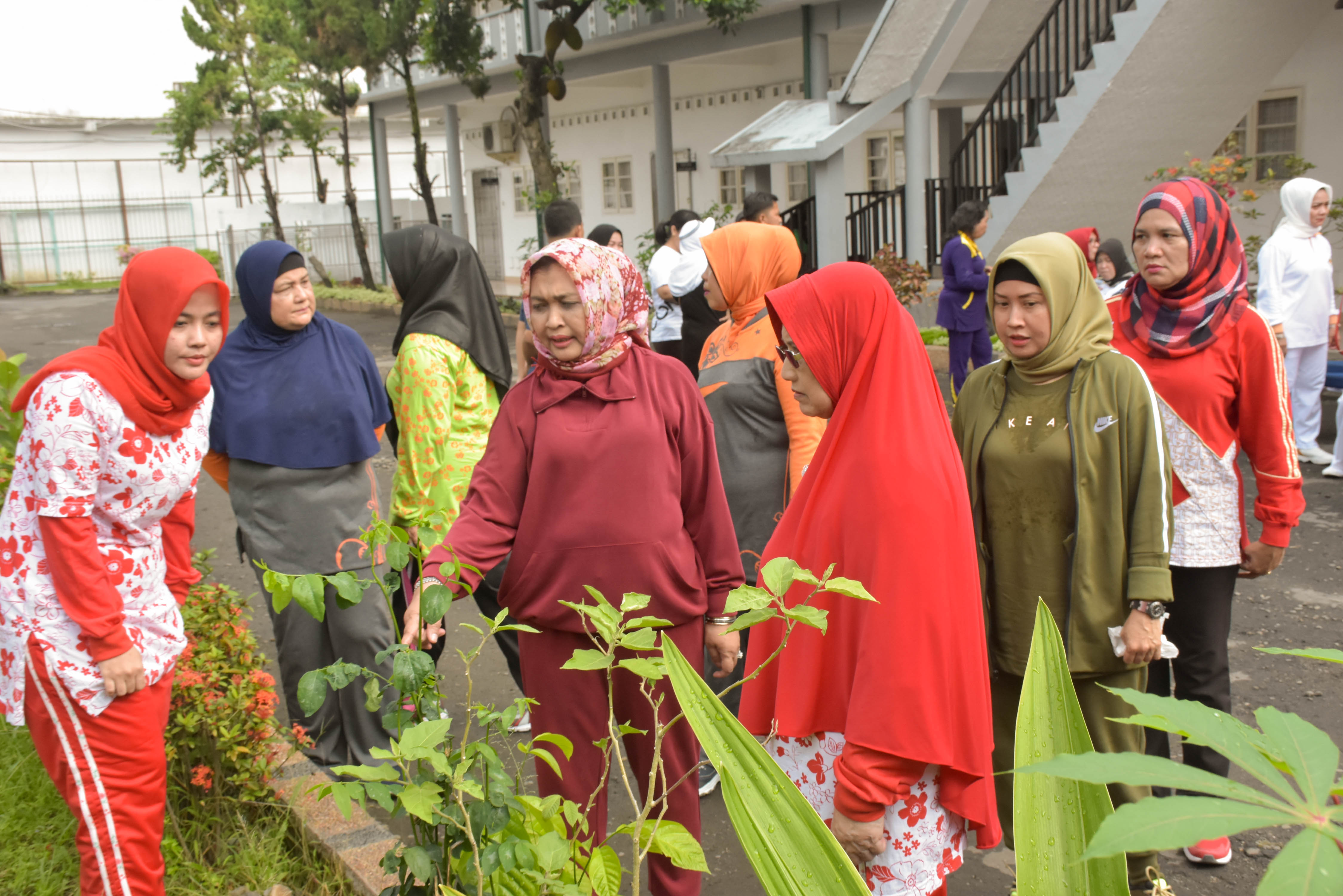 TP PKK Provsu Tanam Tabulampot dan Tabulamkar Gerakan Jumat Bermartabat