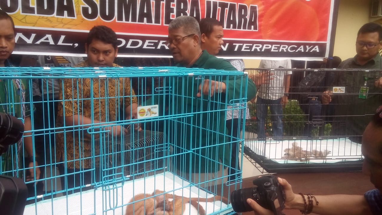 Perdagangan Satwa Langka di Lindungi di Gagalkan