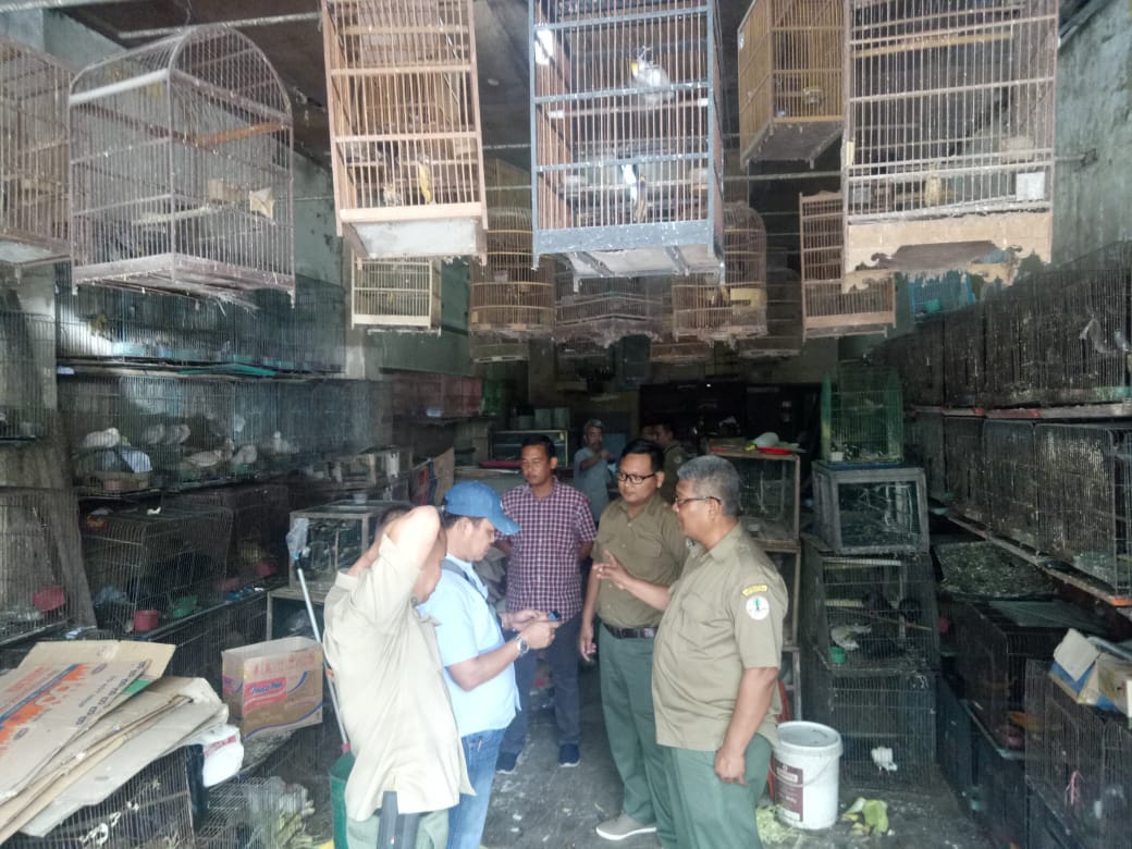 Jalan Bintang di Razia, DitKrimsus Polda Sumut Amankan 2 Ekor Burung Nuri