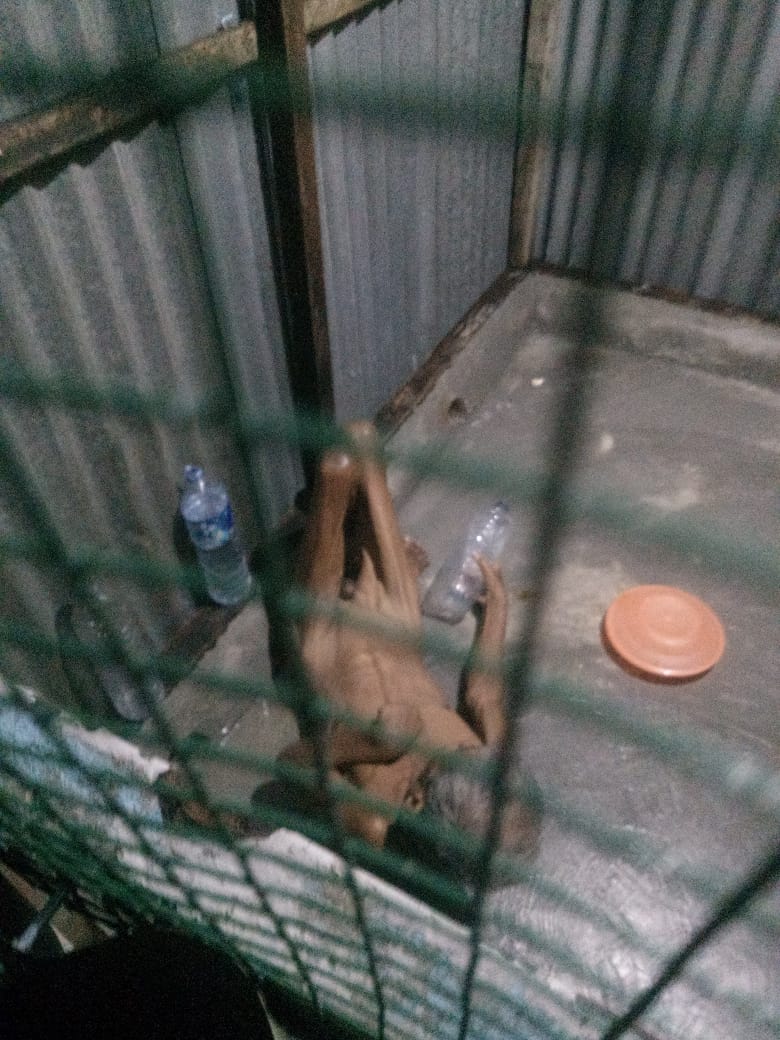 Pria Stroke,di Telantarkan Anaknya di Dalam Kamar Mirip Penjara