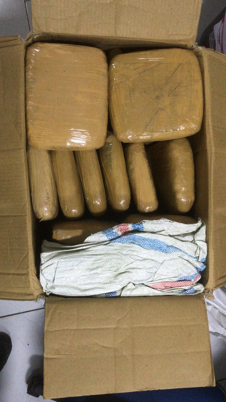 Pengiriman Ganja 1,5 Ton Via Cargo Bandara di Gagalkan