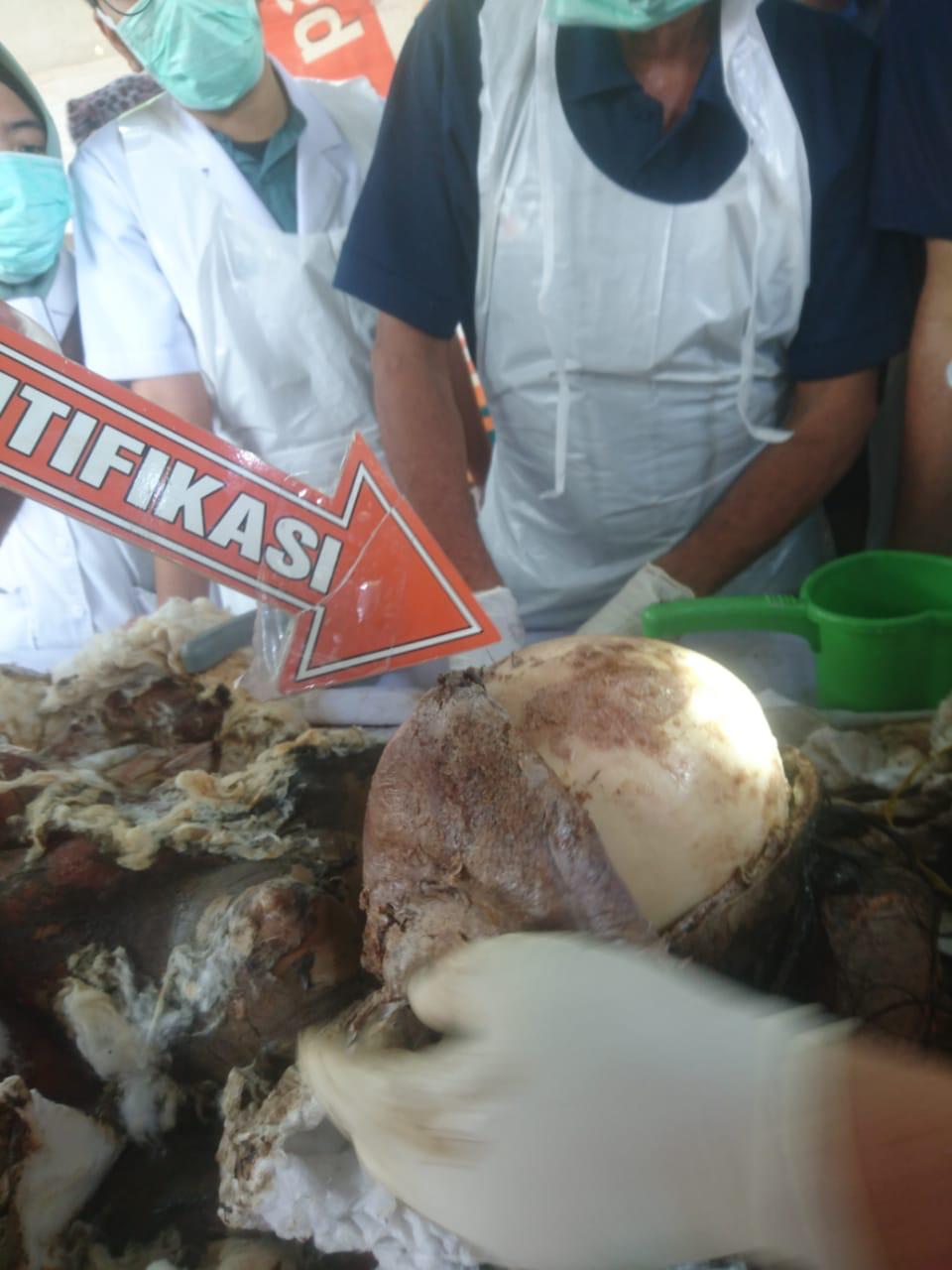 Bongkar Makam,  Kasus Pembunuhan Terungkap