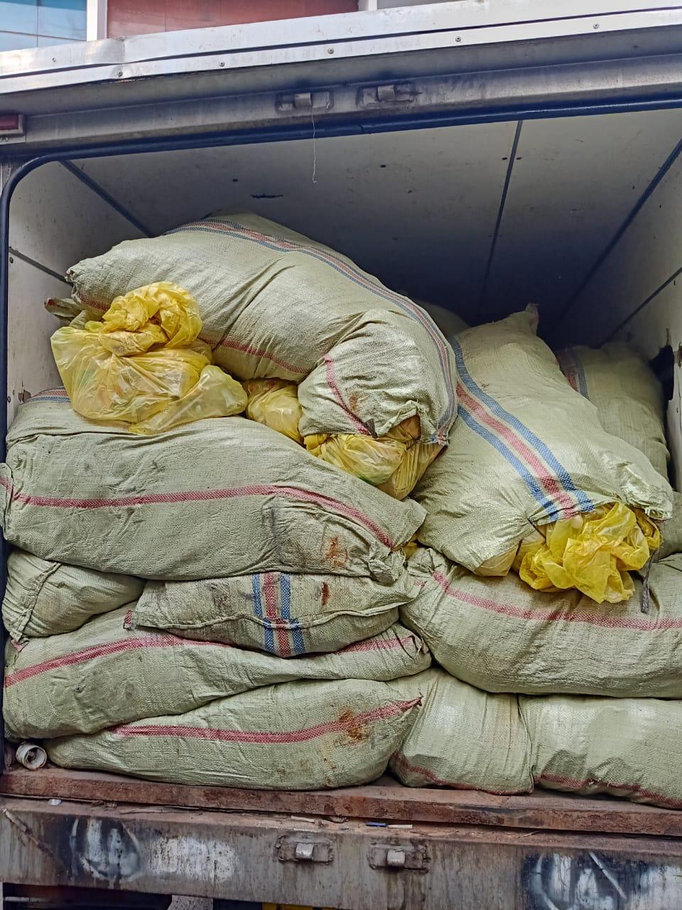 Penyeludupan 300 Kg Ganja Dan Limbah Medis B3