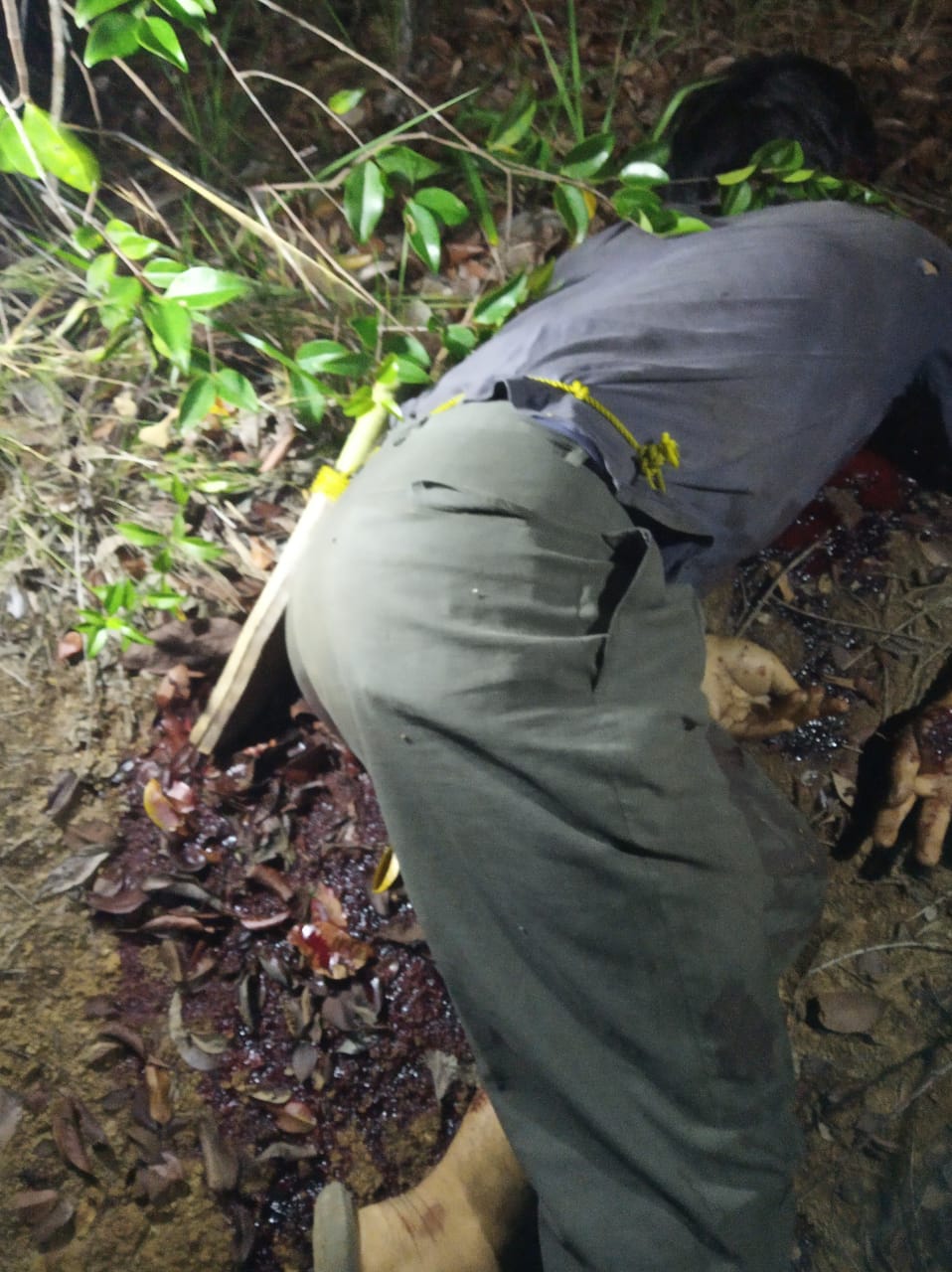 Senjata Api Rakitan Ditemukan di Samping Jasad Pria