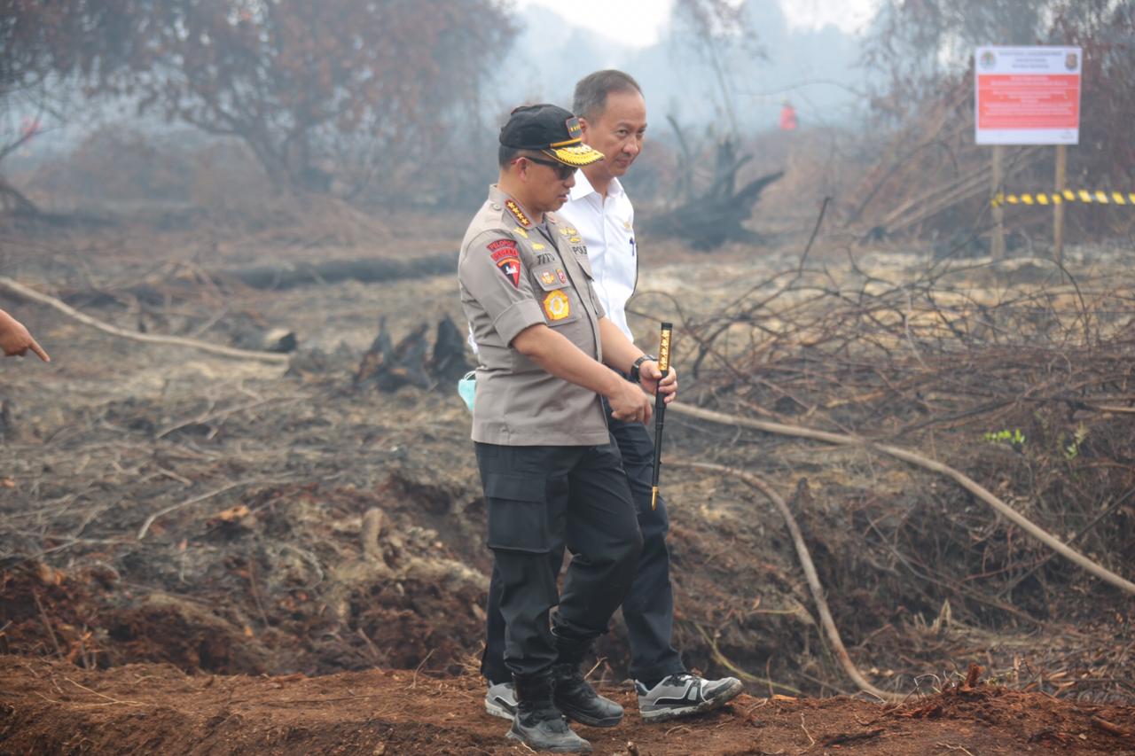 Jokowi Tinjau Upaya Pemadaman Kebakaran Hutan di Riau