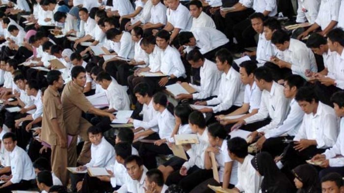 Info Rekrutmen Calon PNS 2019