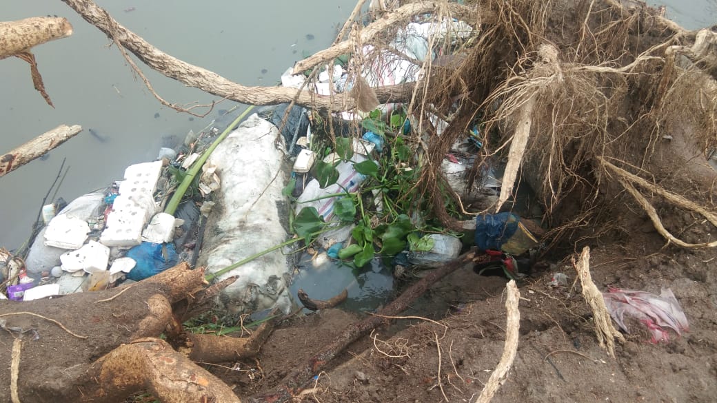 Bau Busuk Dari Bangkai Babi Mulai Resahkan Warga Pinggi Sungai Bederah