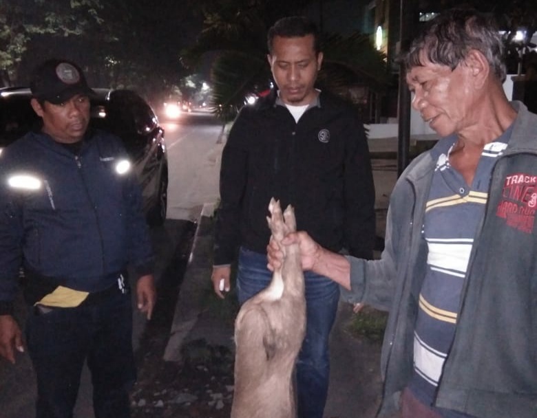 Bawa Bangkai Babi, Warga Diamankan Polisi