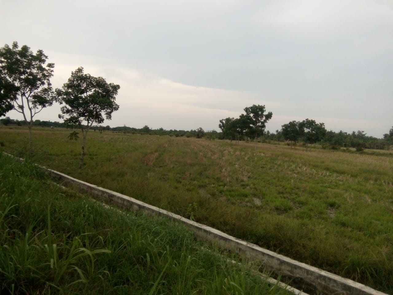 39 Warga Laporkan Kepala BPN Deliserdang ke Presiden