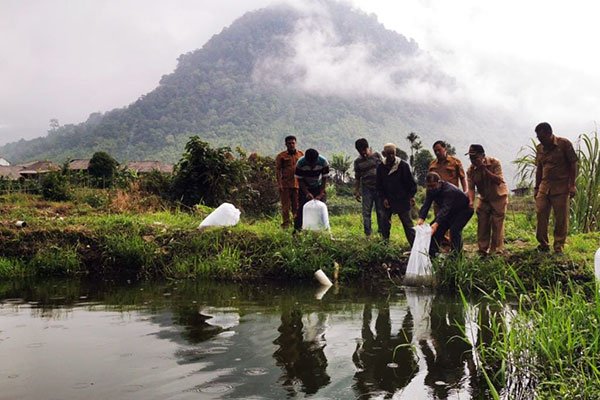 Bupati Tarkelin Tabur Bibit Ikan di Kolam Poktan Ari Ersada