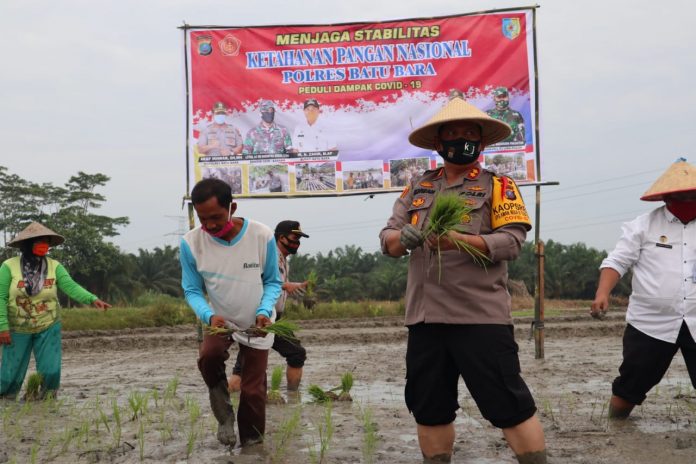 Lahan Sawah Desa Antara 77,32 Ha Diminta Tidak Alih Fungsi
