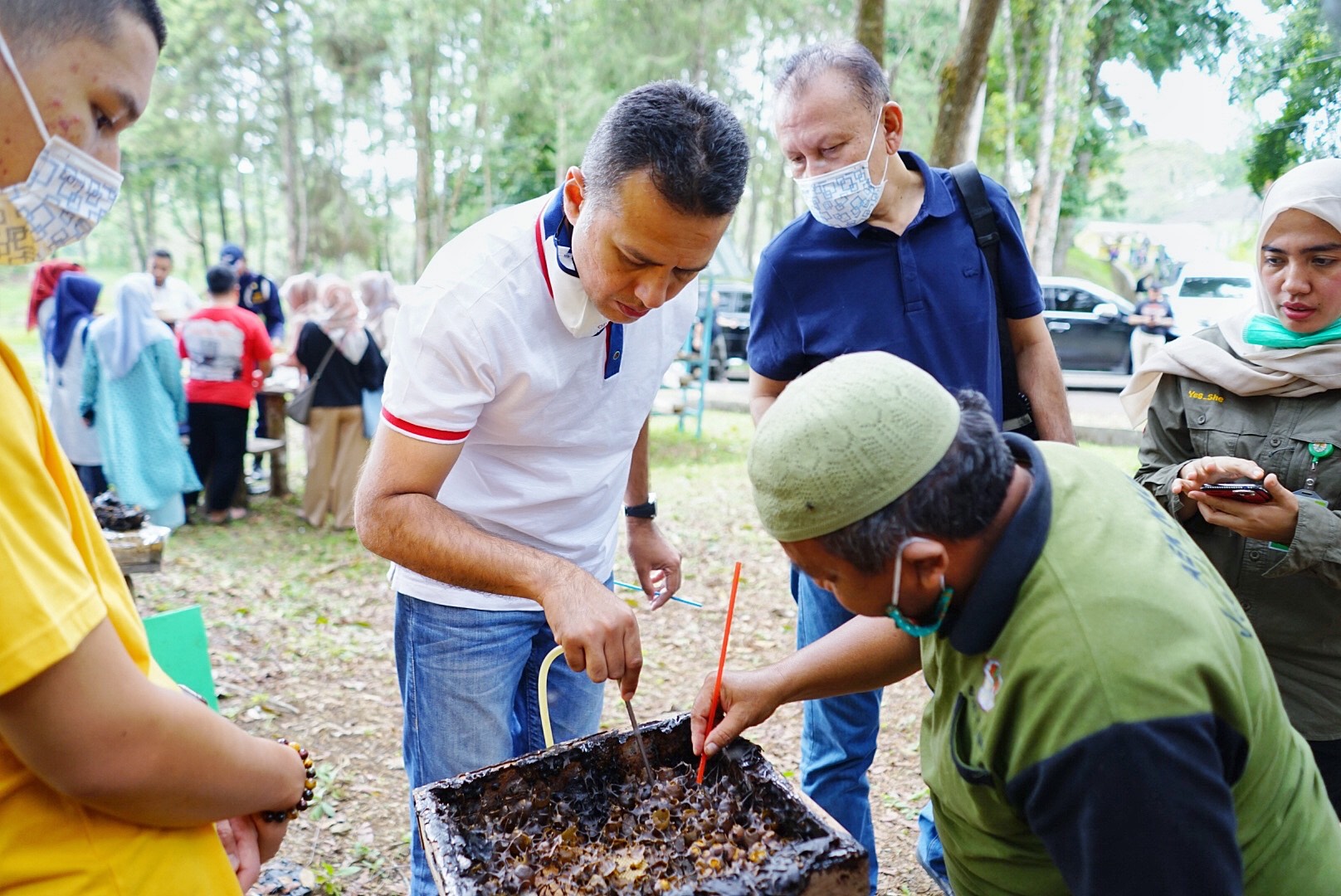 Pengalaman Wagub Sumut Minum Madu Asli Langsung dari Sarangnya