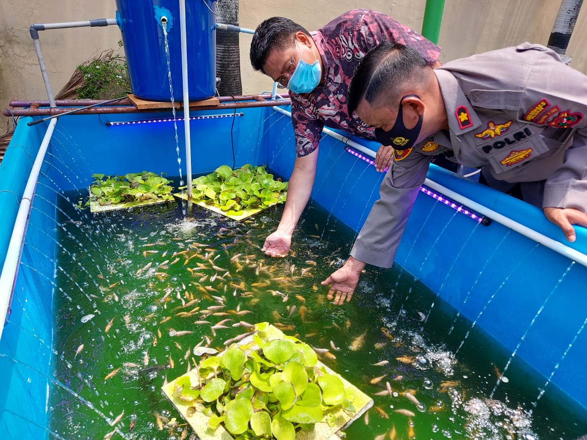 Dukung Ketahan Pangan, Kapolsek Medan Timur Kompol Arifin, Buat Kolam Ikan Mini