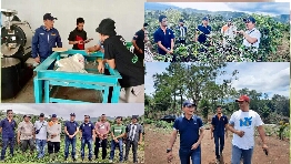 Road Show Tujuh Kabupaten/Kota, Karang Taruna Sumut Kembangkan Petani Milenial