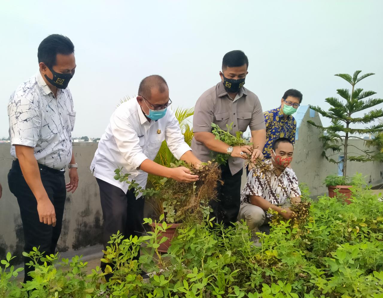 Akhyar Ajak Masyarakat Manfaatkan Rooftop Sebagai RTH