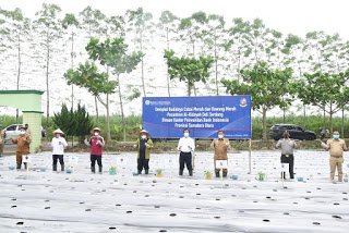 BI Sumut-Pesantren Al Hidayah Tanam Bawang dan Cabai Merah