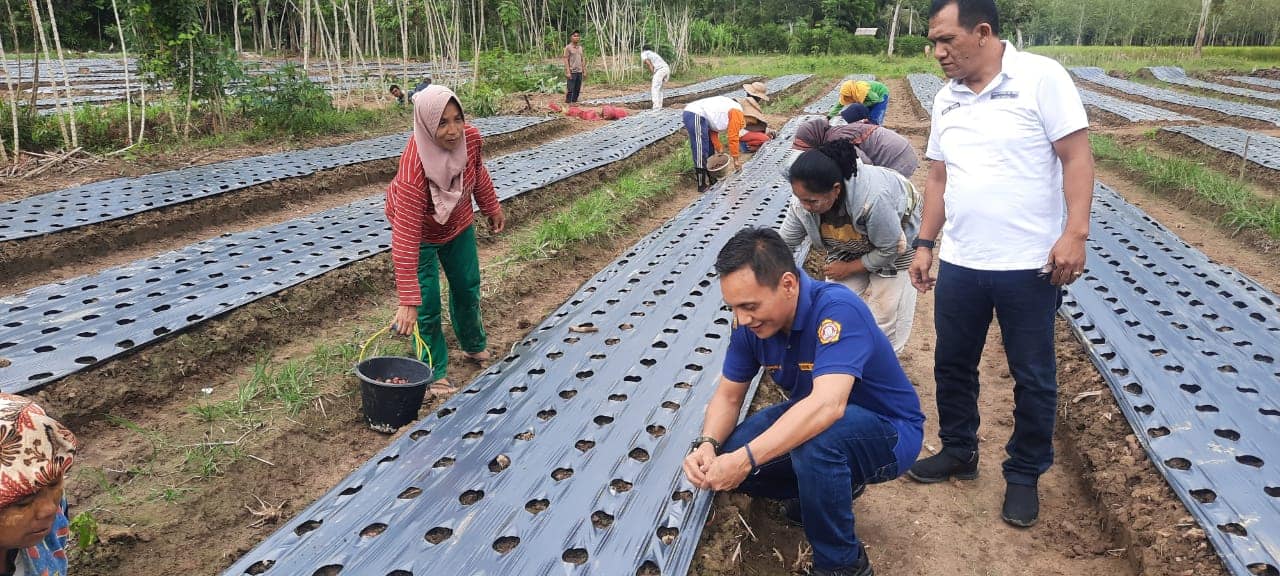 Stimulus Percepatan Ekonomi Dimasa Covid-19, Ketua Karang Taruna Sumut Dedi : Terus Lakukan Inovasi dan Edukasi