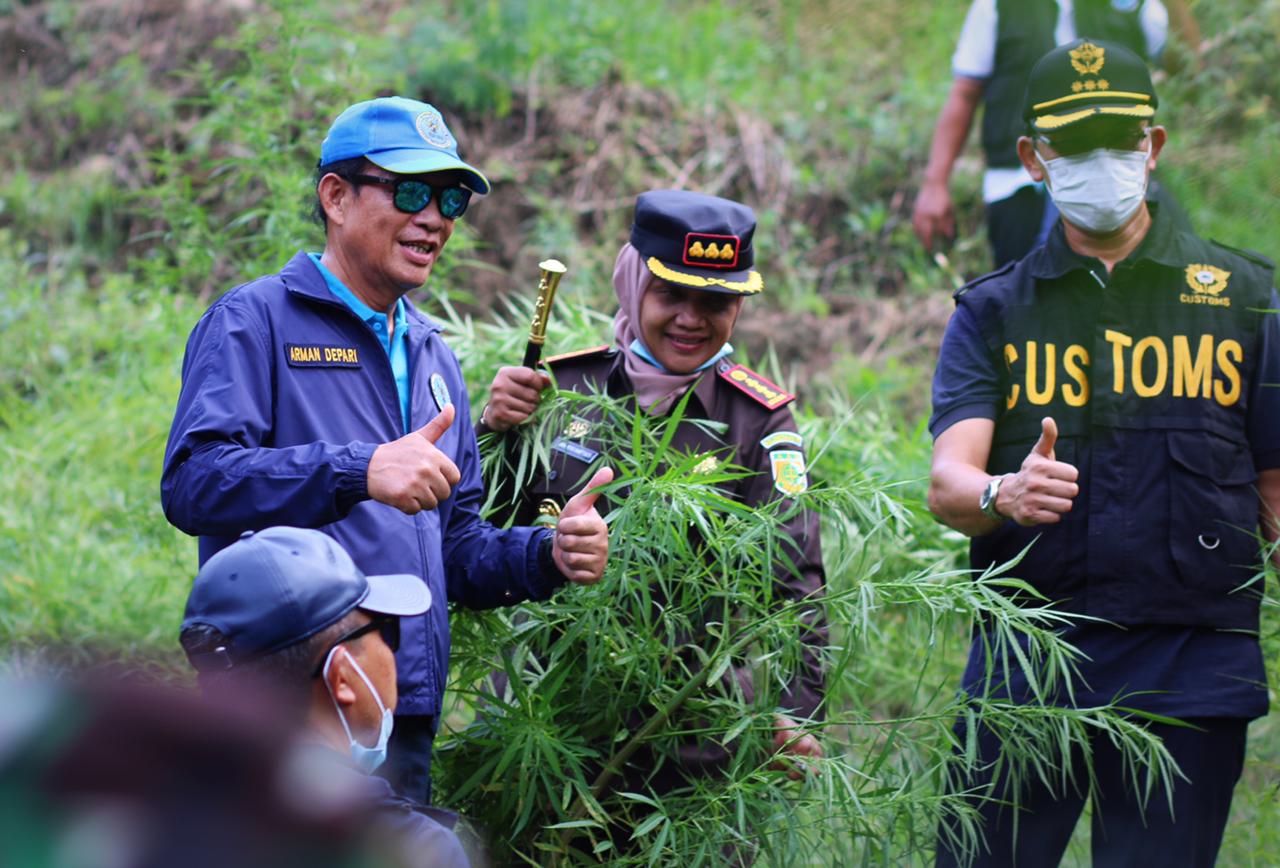 Kepala BNN Pimpin Pemusnahan 9 Hektar Ladang Ganja di Aceh Utara