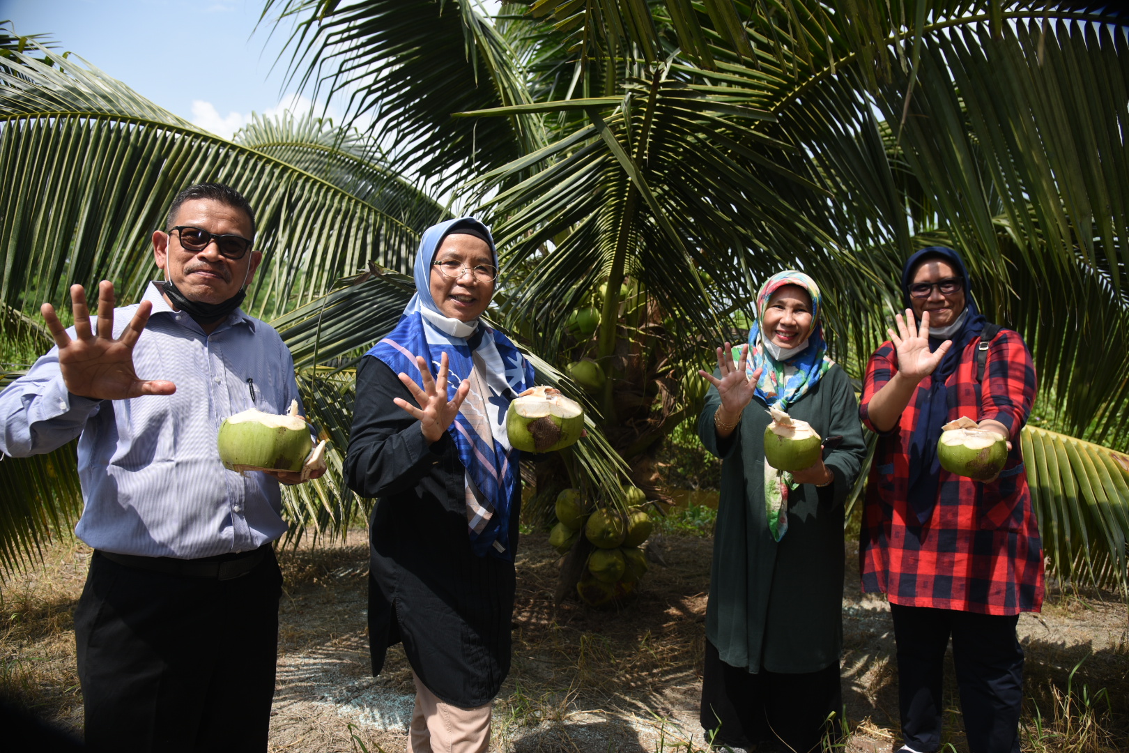 Tinjau Pembibitan Kelapa Genjah Pandan Wangi, Sabrina : Sangat Layak Dikembangkan di Sumut