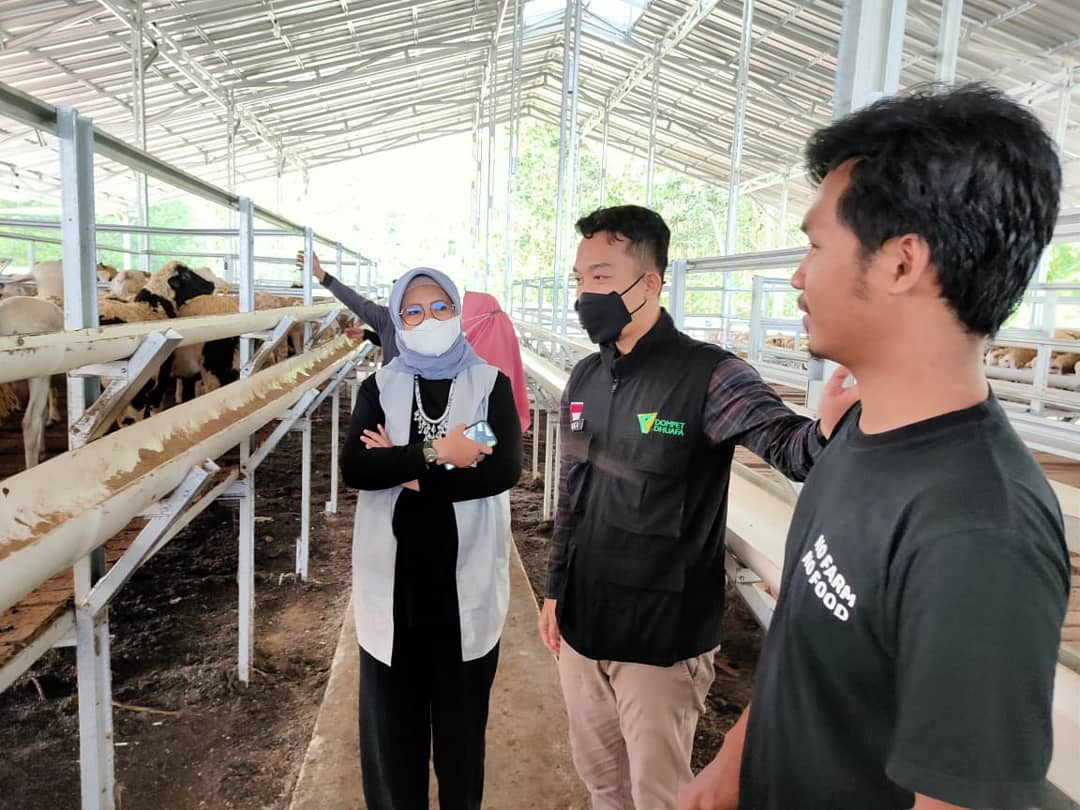 Ayo Berkurban, Dompet Dhuafa Targetkan 52 Ribu Hewan Kurban Tahun Ini