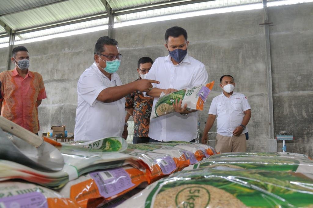 Sergai Berpotensi Menjadi Lumbung Padi, Bawang dan Cabai Sumatera