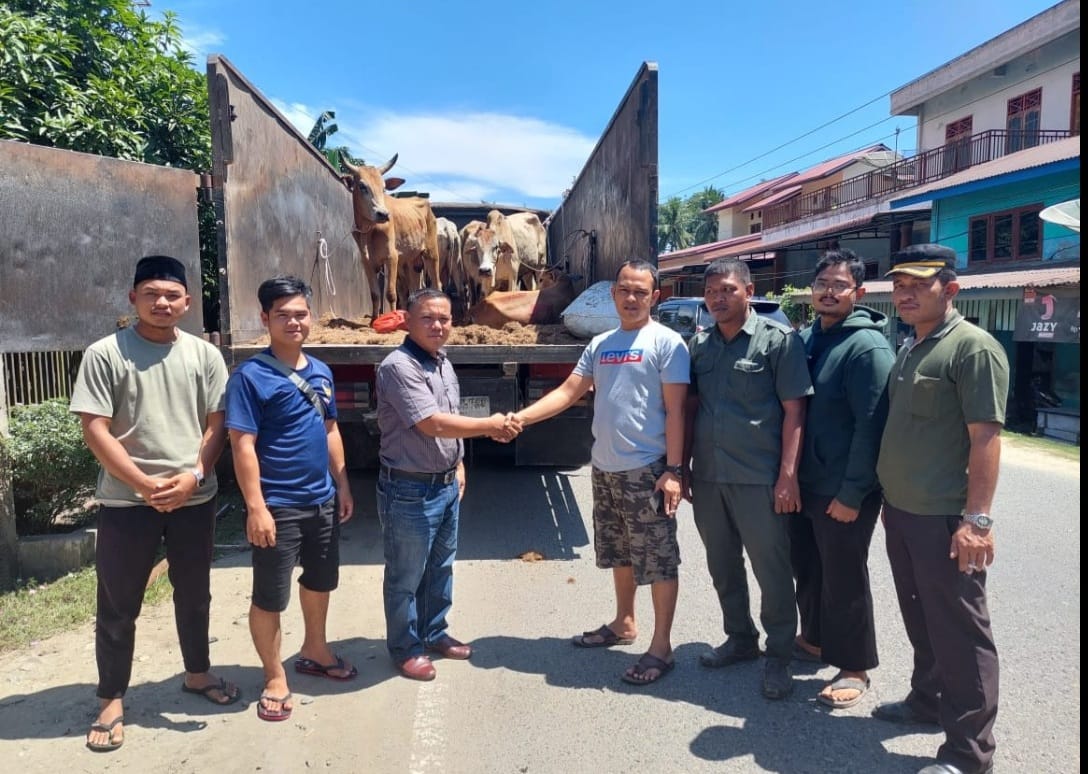 Sambut IDUL ADHA, PT. Mazuma Agro Indonesia (MAI) Serahkan 6 Ekor Sapi Qurban kepada Anak Angkat Plasma 6 Desa