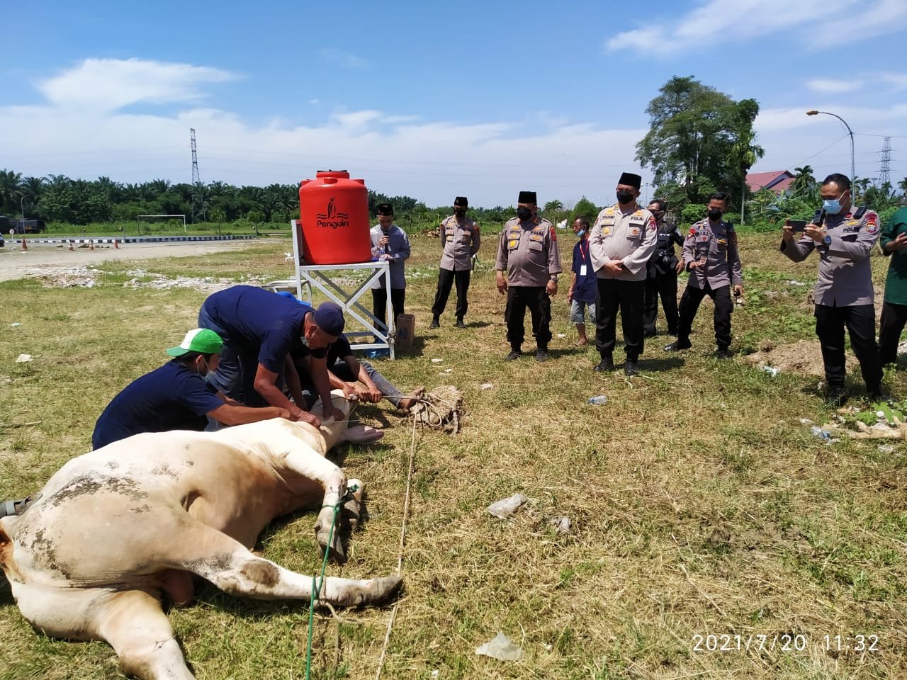 Poldasu Sembelih 20 Ekor Sapi Dan Sumbangkan ke Yayasan Panti Asuhan Dan Pesantren 23 Ekor Sapi