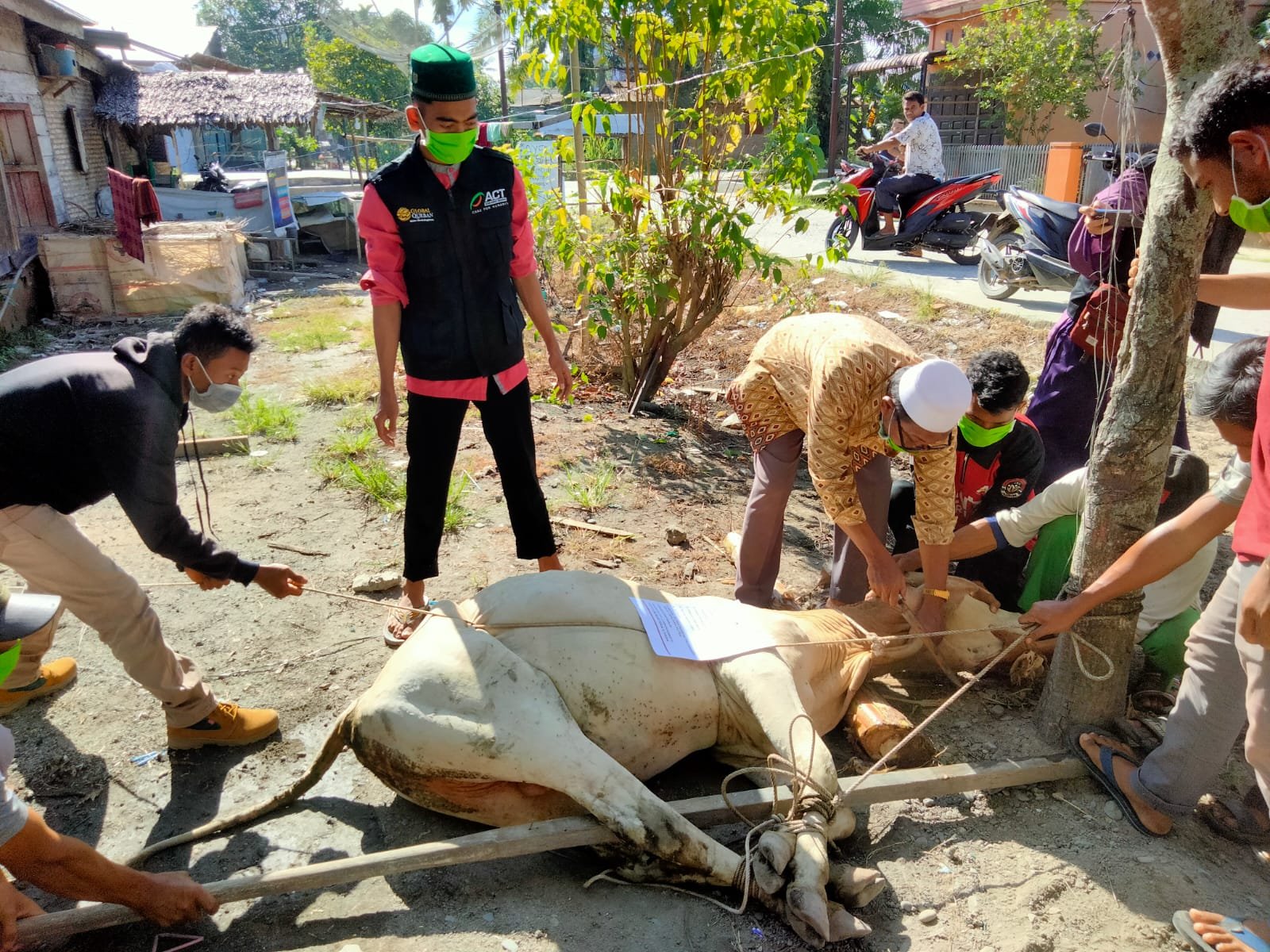 ACT dan MRI Labuhanbatu Distribusikan 6 Ekor Hewan Kurban, Salah Satunya di Kecamatan Bilah Hilir.