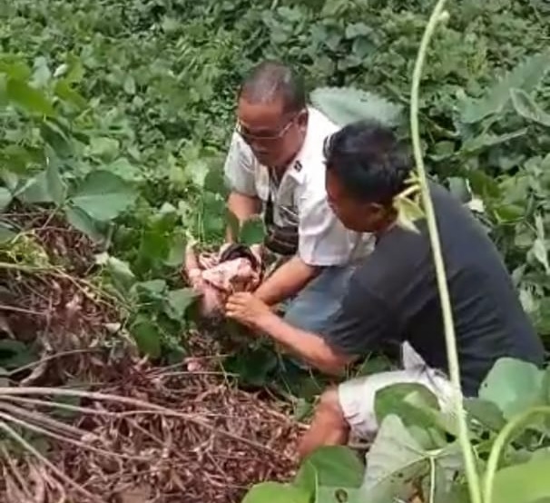 Geger, Warga Temui Bayi Hidup Dalam Jurang