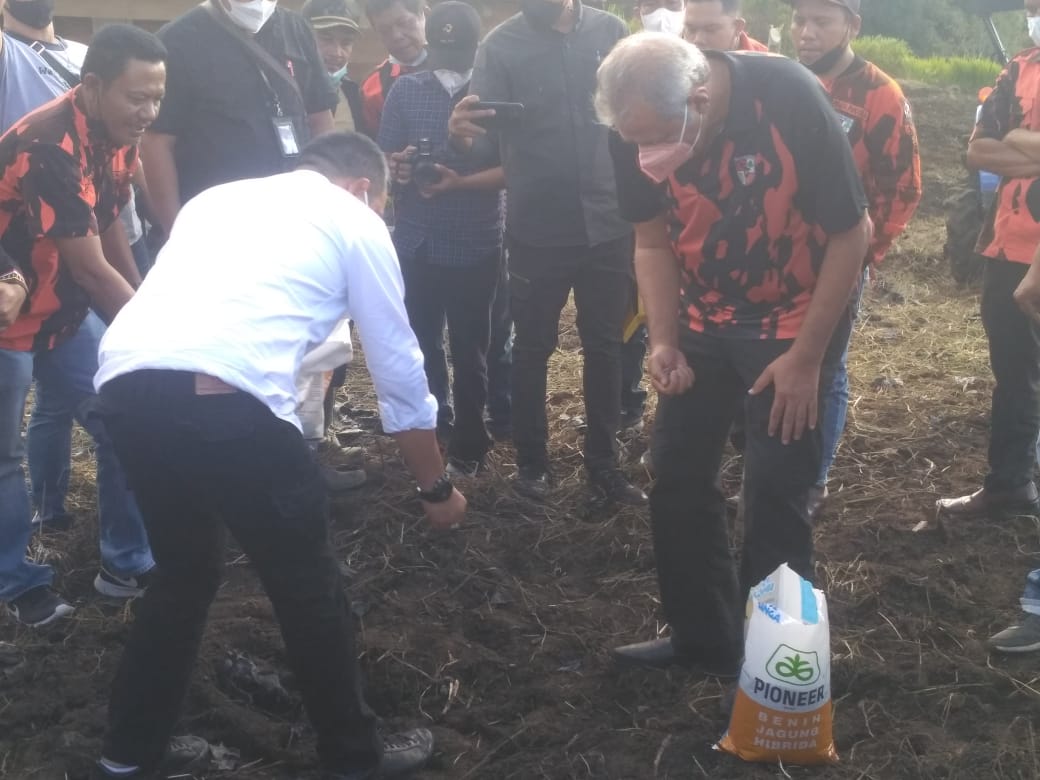 Taman Jagung di Pakpak Bharat, Ketua MPW PP Sumut Kodtrat Shah: Tingkatkan Ekonomi Desa