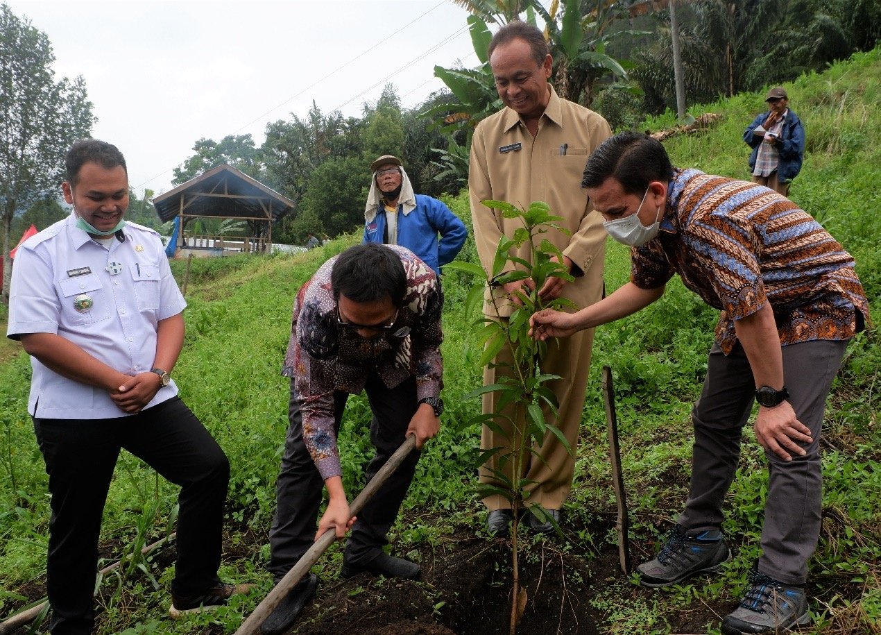 Inalum Berikan 1500 Bibit Mangga Varietas, 600 Kg Pupuk Kompos dan 75 Liter Pupuk Cair di Simalungun