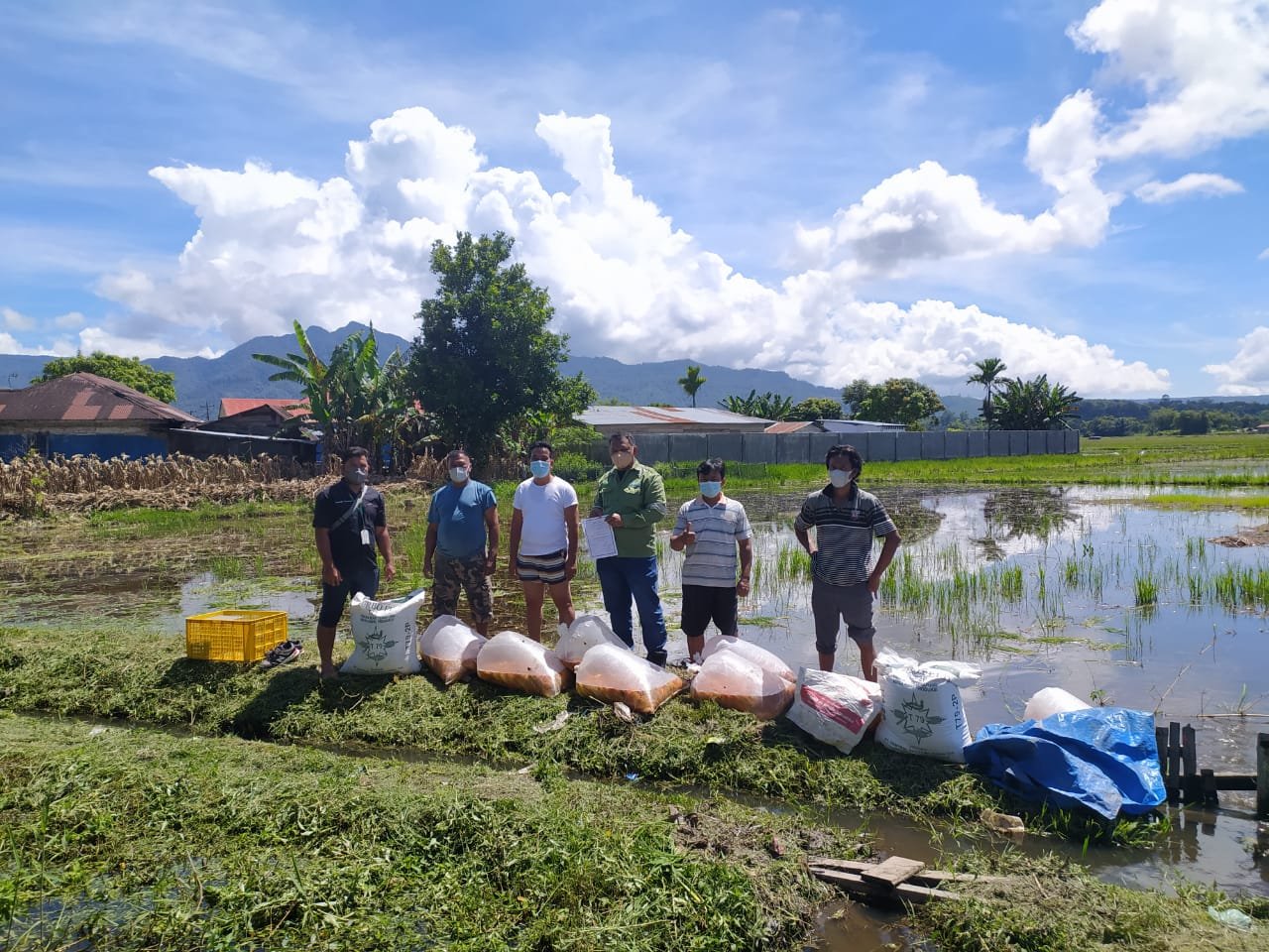 7 Pokdakan Wilayah Toba Terima 1,3 Ton Bibit Ikan Mas