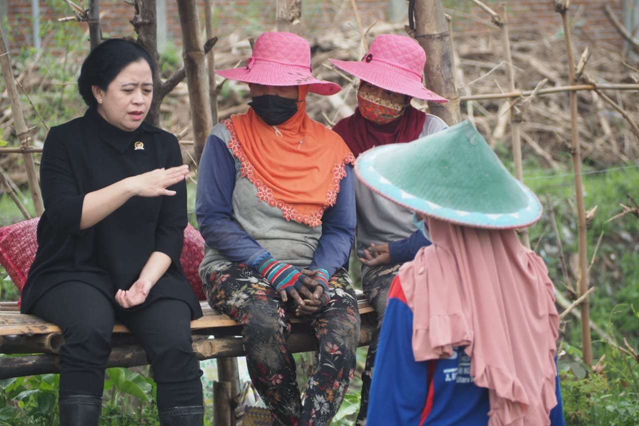 Puan: Pemerintah agar dapat Kendalikan Harga Bahan Pokok