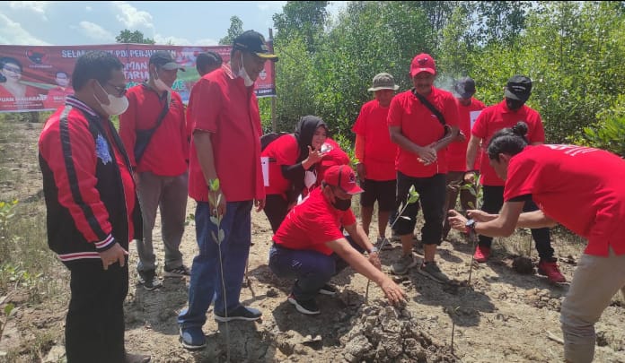 Kado Untuk Bu Mega PDI Perjuangan Sumut Tanam 35 Ribu Pohon di Sumut