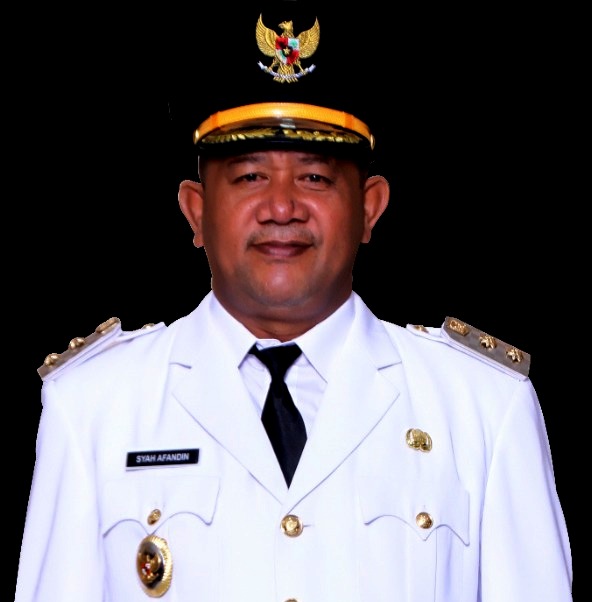 Plt Bupati Langkat Dukung Seminar HPN 2022 di Kabupaten Langkat