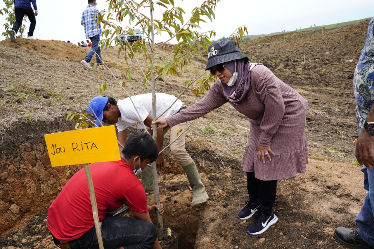 Dirut PT BUK Jimmy : Masyarakat Dapat Mengelola Lahan 50 Ha Disiapkan