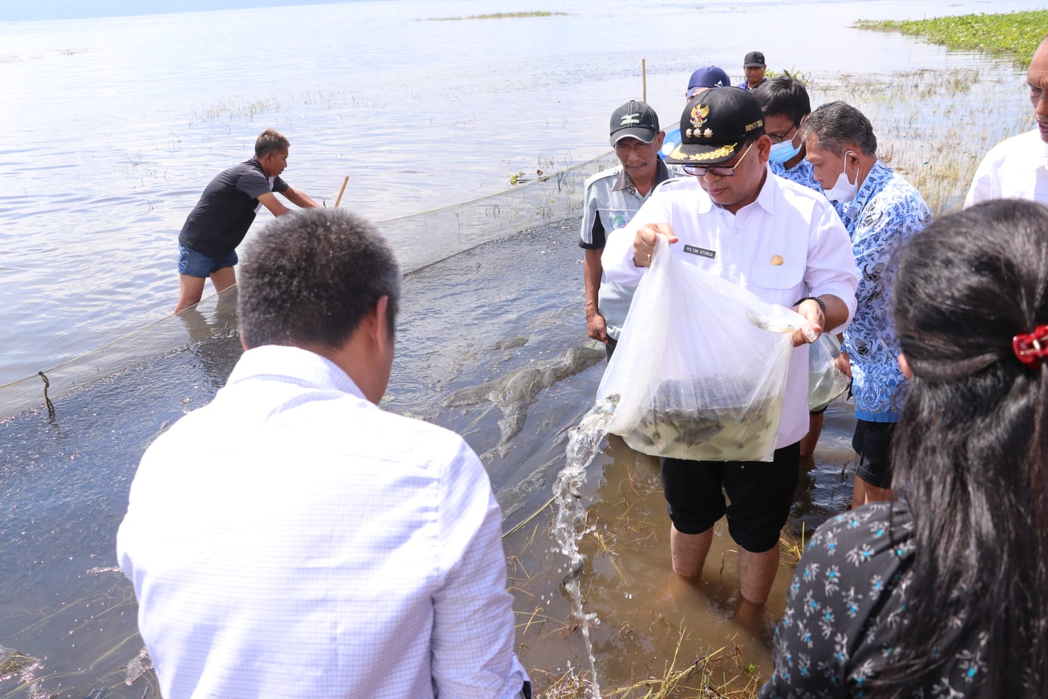 Bupati Toba Bersama Dinas Kelautan dan Perikanan Provinsi Sumatra Utara, 75 Ribu Bibit Ikan d Tabur