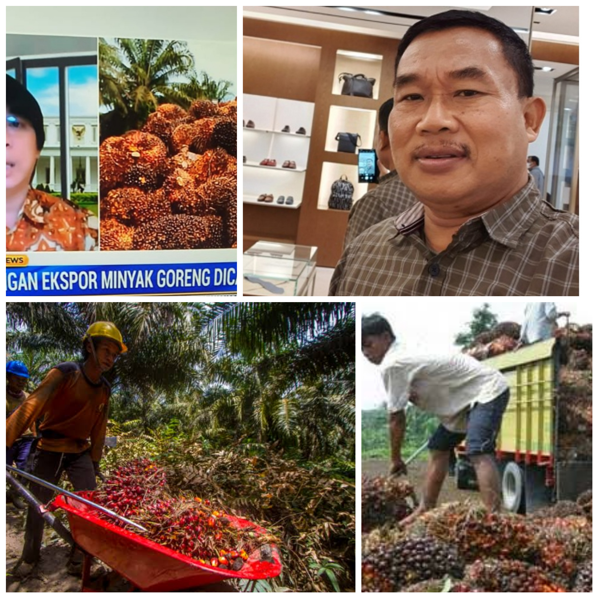 Jeritan Petani Sawit Didengar,  DPRD Sumut H Santoso SH, MH Apresiasi Presiden Jokowi Keran Ekspor Migor Dan CPO Dibuka