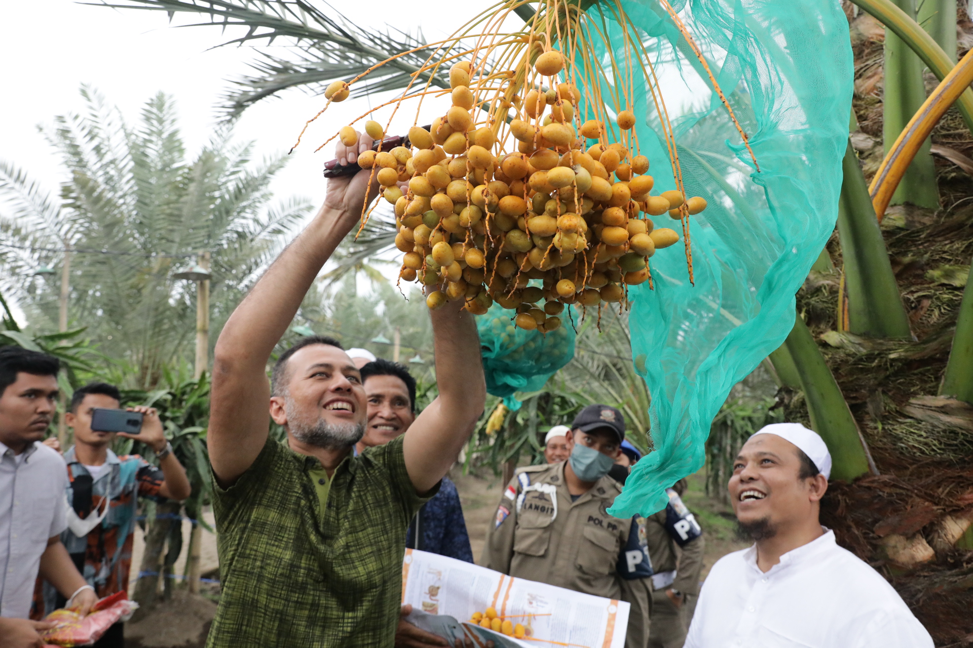 Lihat dan Cicipi Langsung Kurma di Tanah Karo, Musa Rajekshah Takjub Ini