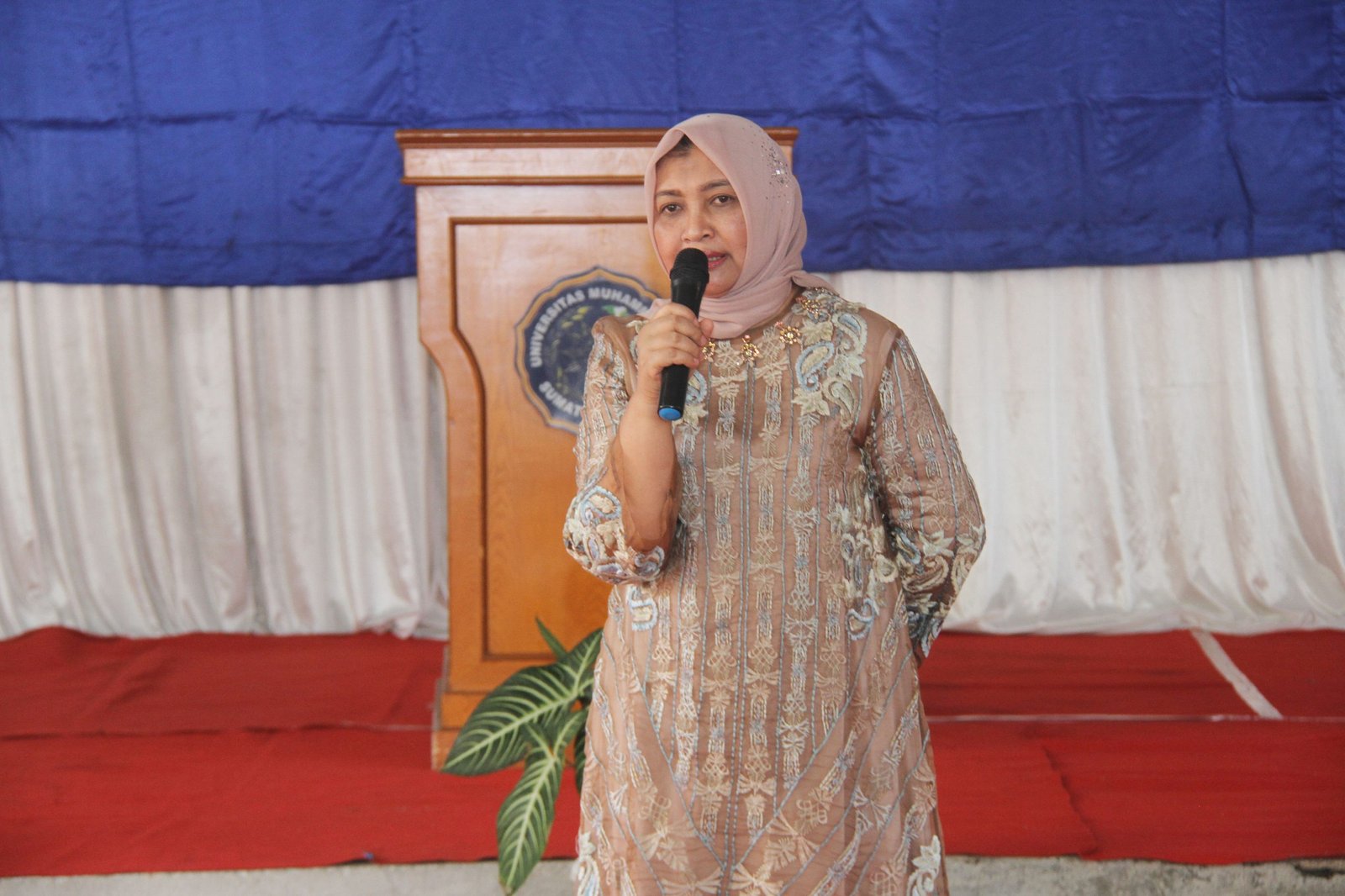 Nawal Lubis Ajak Berkontribusi Turunkan Angka KDRT di Sumut