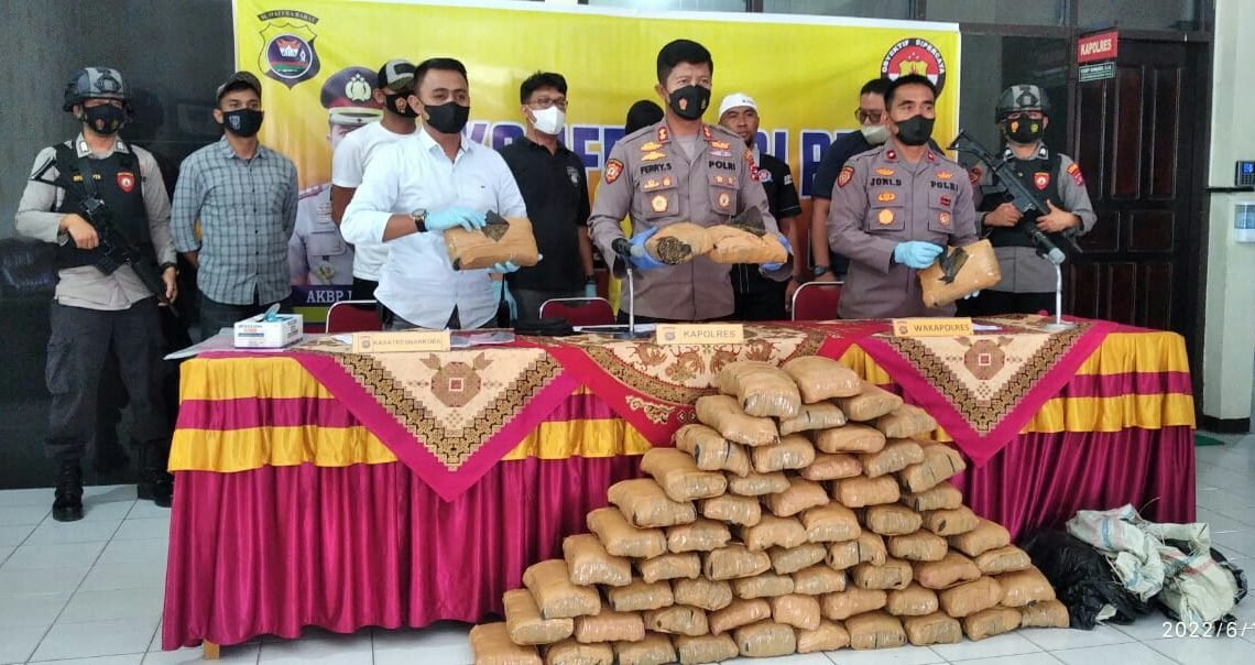 63 Kilo Narkoba Digagalkan Satresnarkoba Polres Solok Kota