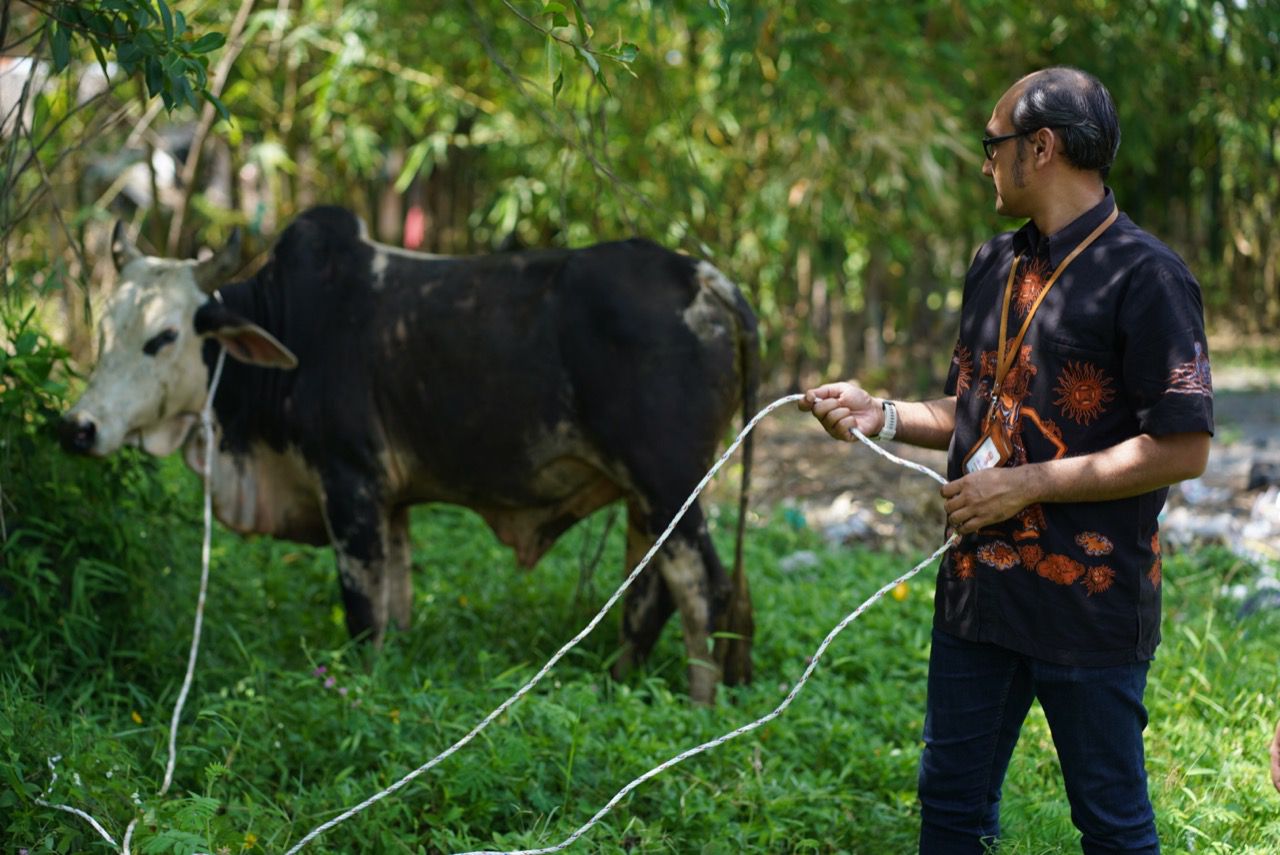 Inalum Bagikan Qurban di Batubara, Asahan dan Toba