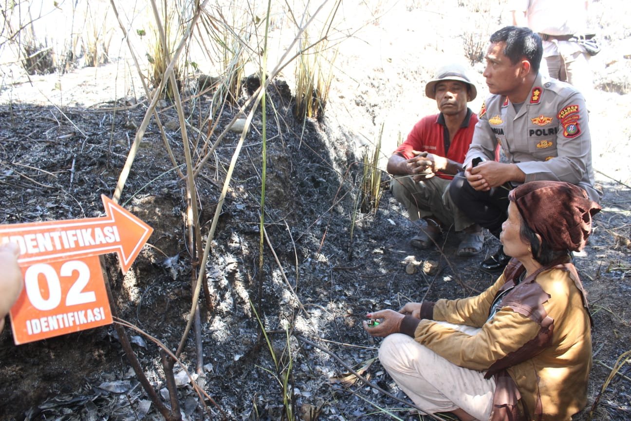 Poldasu Tangkap 2 Orang Pelaku Pembakaran Hutan