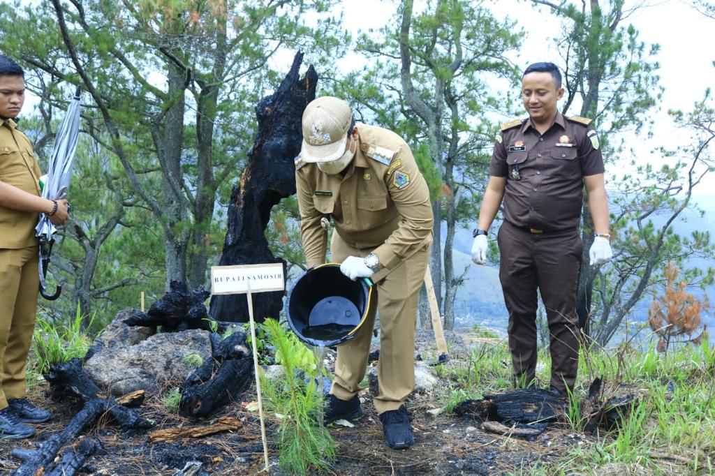 Bupati Canangkan Gerakan Penanaman Pohon di Kawasan Hutan Lindung